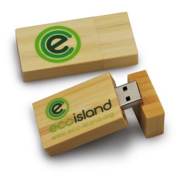 Wooden USB